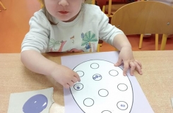 IMG20250414102250 